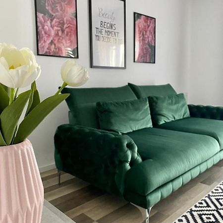 Velvet Studio Târgu-Mureş 外观 照片