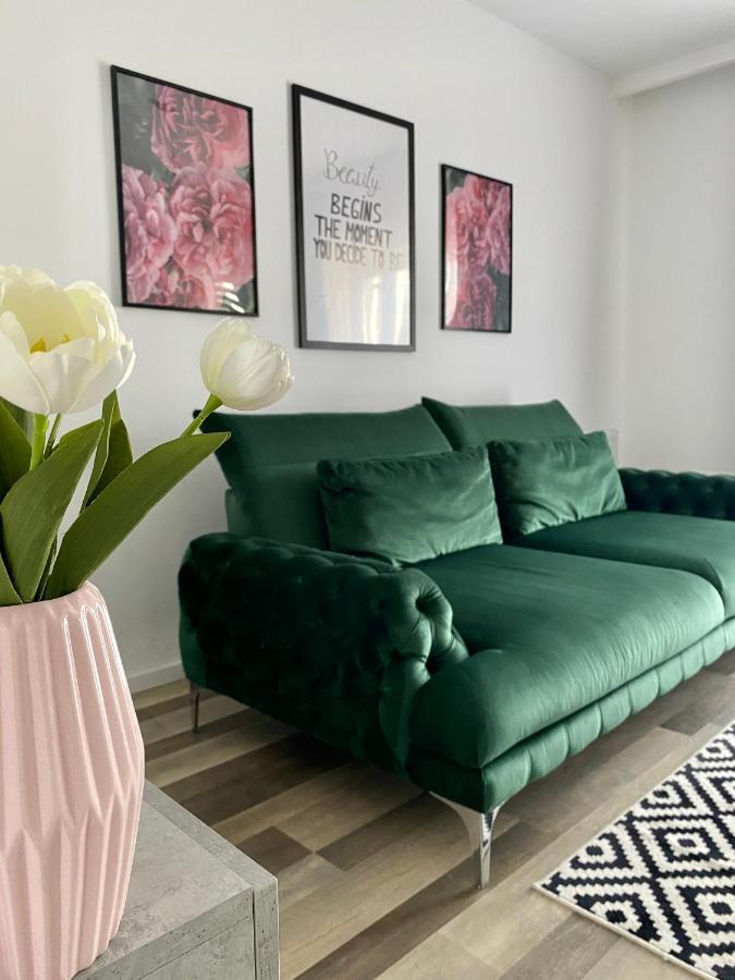 Velvet Studio Târgu-Mureş 外观 照片